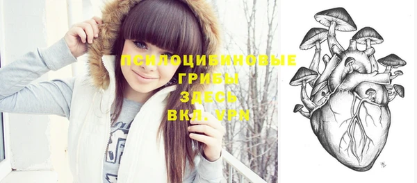 бошки Волоколамск