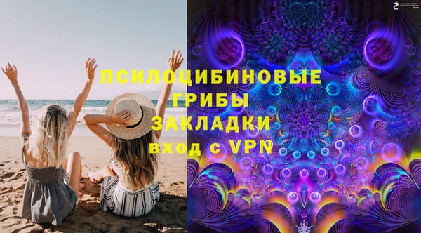 PSILOCYBIN Волосово