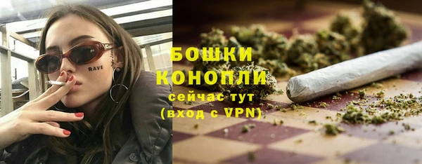 PSILOCYBIN Волосово